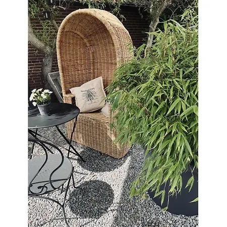 Schwanen Herz Comfortable *