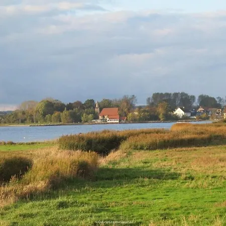 Schwanen Herz Comfortable *